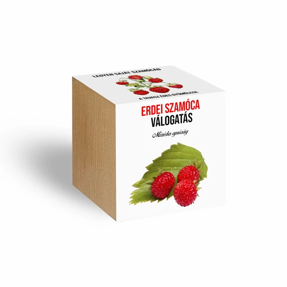 Növényem fa tartóban - Szamóca válogatás